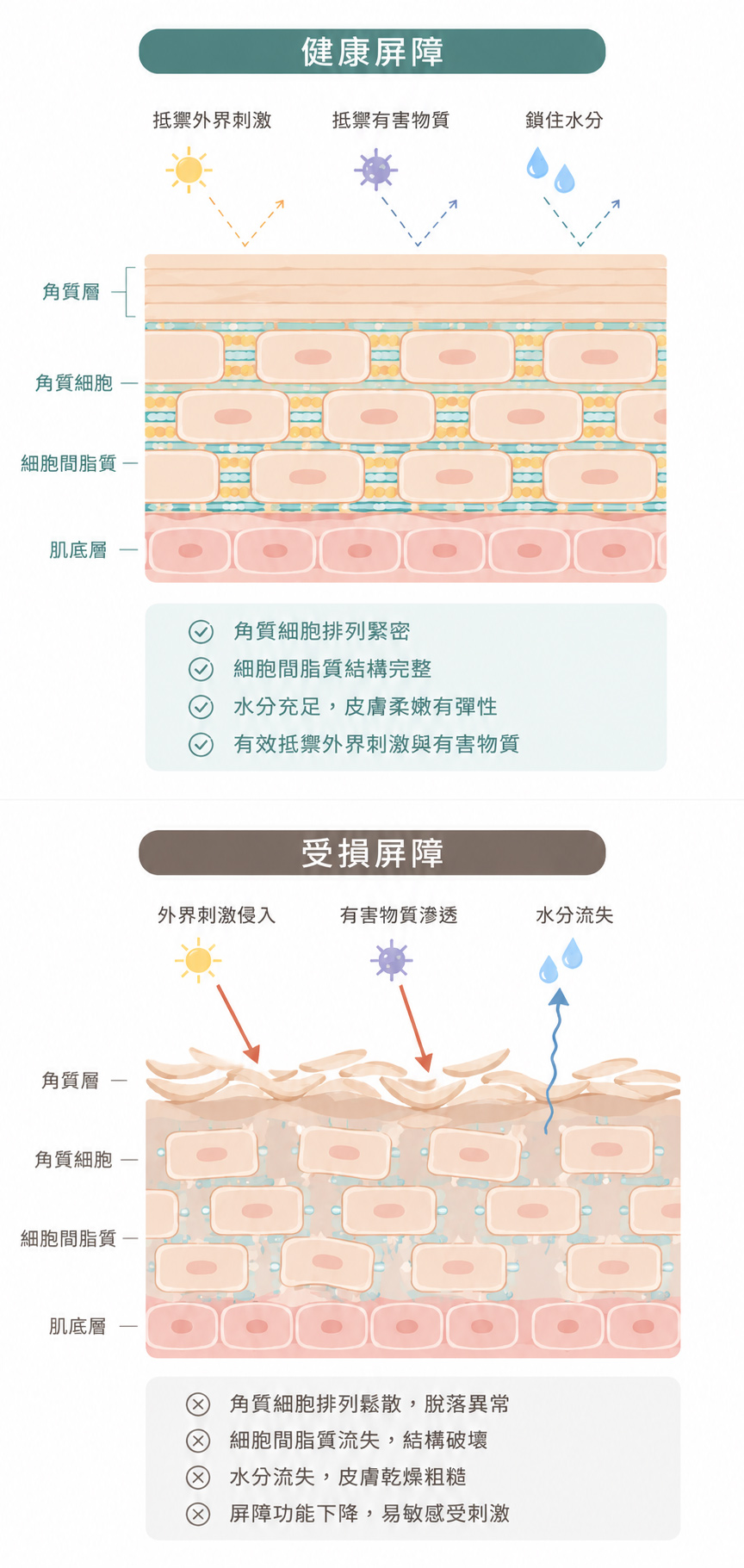 漢方保養,漢方面膜,草本保養,植萃保養,溫和保養,低刺激保養,敏感肌保養,敏弱肌保養,敏感性肌膚保養,換季保養,換季保養推薦,草本面膜,植萃面膜,溫和面膜,低負擔保養,日常保養,保濕保養,溫和清潔,草本保濕,植萃保濕,敏感肌面膜,敏弱肌面膜,敏感肌可以敷面膜嗎,敏弱肌適合什麼保養,換季肌膚保養,換季肌膚不穩,臉部保濕保養,乾燥肌保養,肌膚乾燥保養,肌膚不穩保養,肌膚調理,日常調理保養,草本調理保養,漢方調理保養,溫和調理,低刺激保養推薦,草本保養推薦,漢方面膜推薦,植萃保養推薦,溫和保養推薦,劉大夫漢方保養,劉大夫漢方面膜,劉大夫敏感肌保養,劉大夫草本保養,劉大夫植萃保養,劉大夫五行植草面膜
