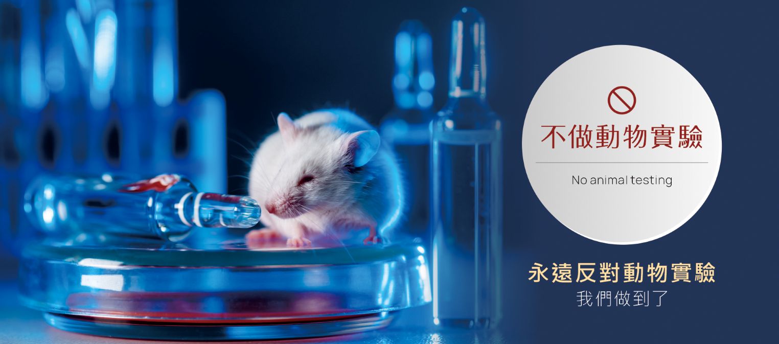 我們的承諾